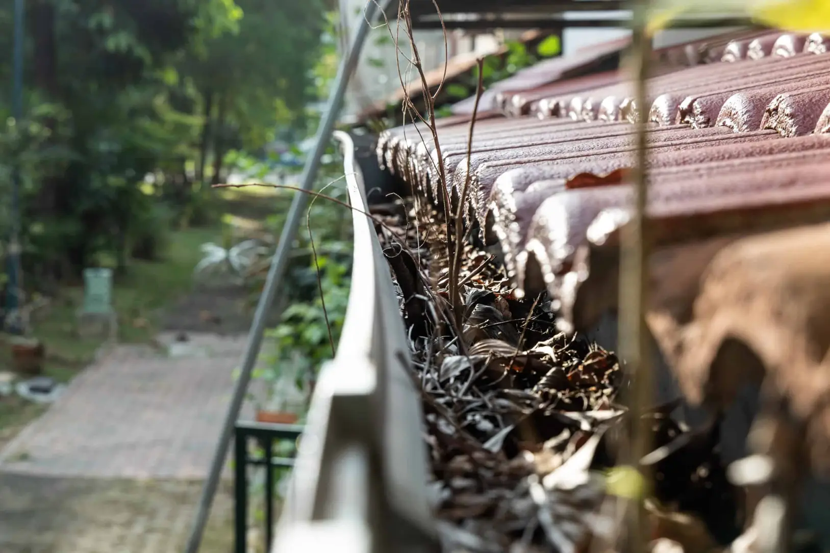 Gutter full of dry leaves and pine debris below a tile roof
