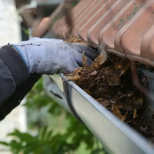 Gloved hand scooping wet leaves and debris out of a clogged gutter