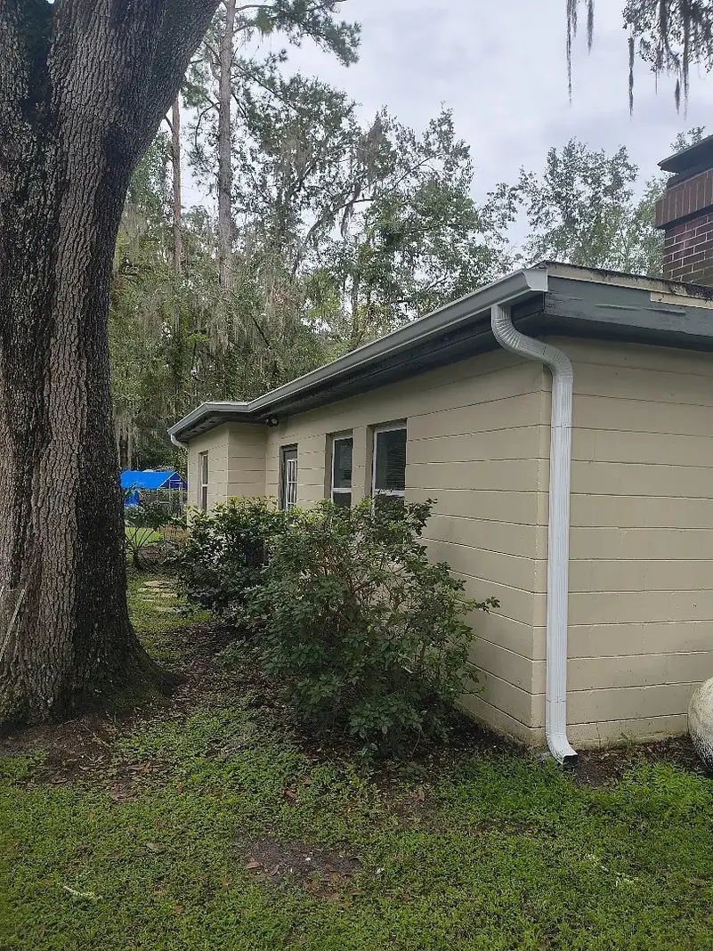 Home with new gutters beside a large oak tree