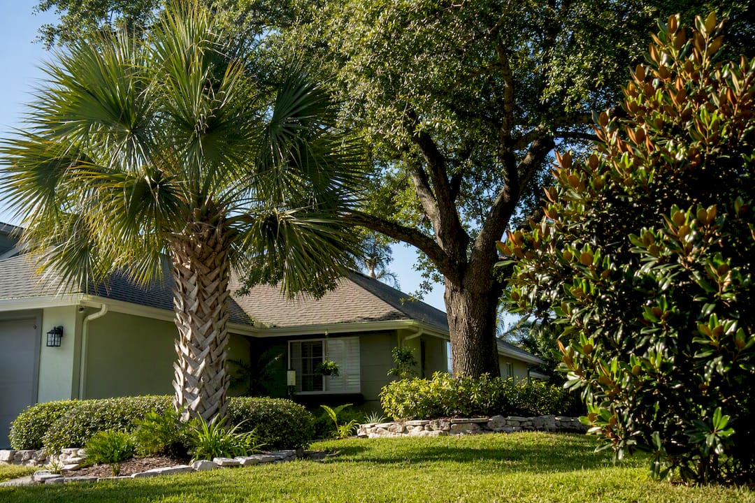 Native storm-resistant landscaping around Florida home