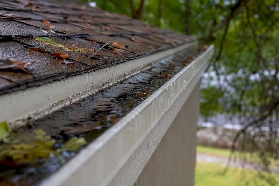 Water pooling behind gutter on house roof edge
