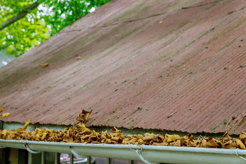 Gutter Cleaning