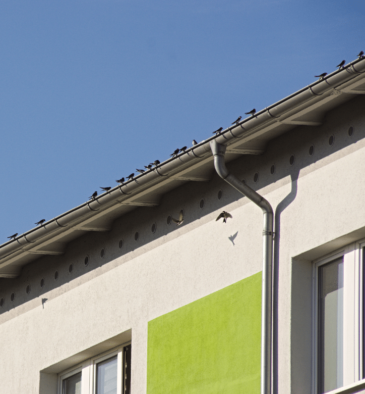 Seamless Gutters Installer in Ocala